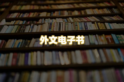 外文电子书